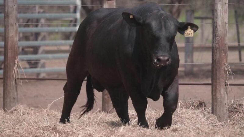 LOTE 15C RP 2041 CABAÑA LA GELID