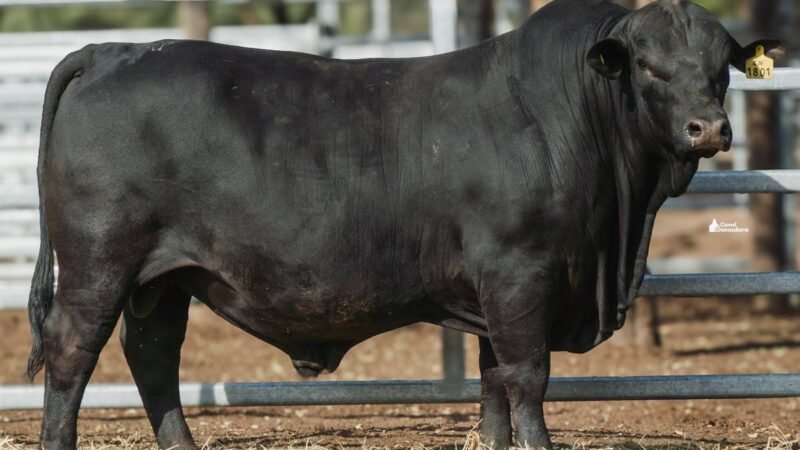 LOTE 1A RP 1801 CABAÑA LA GELID