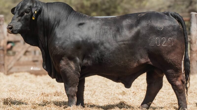 LOTE 14 RP 2029 CABAÑA LA GELID