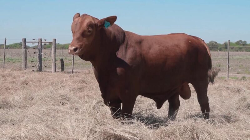 LOTE 5A RP 3443 CABAÑA QUILPO NORTE