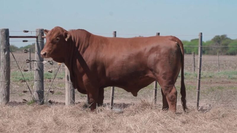 LOTE 19B RP G127 CABAÑA QUILPO NORTE