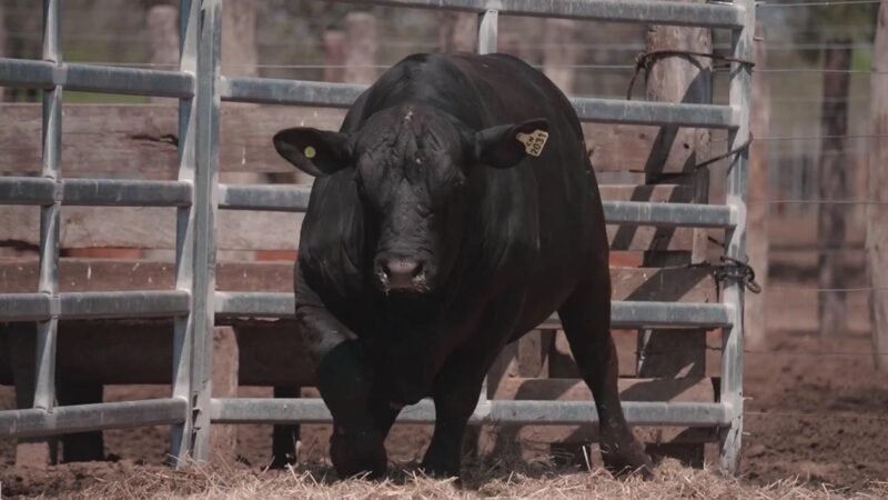 LOTE 15B RP 2031 CABAÑA LA GELID