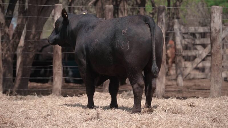 LOTE 8B RP 681 CABAÑA LA GELID