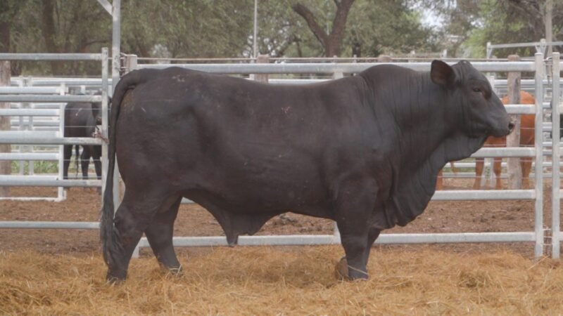 LOTE 10B RP 2143 CABAÑA LA GELID
