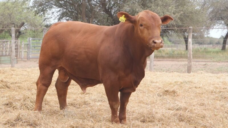 LOTE 14A RP 743 CABAÑA LA GELID