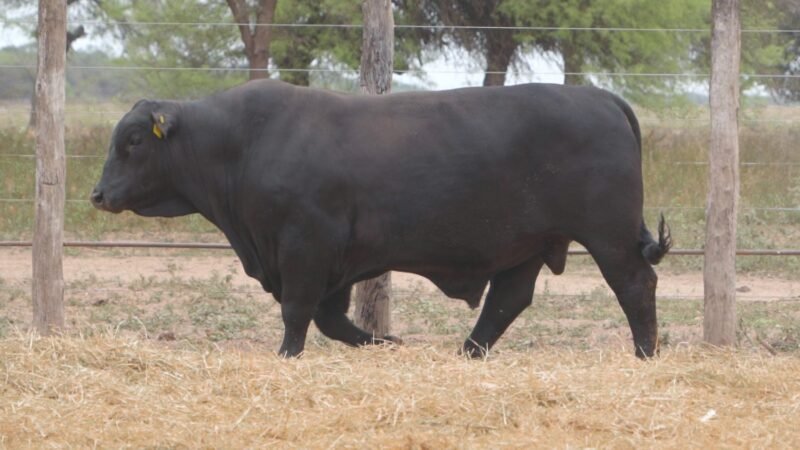 LOTE 15A RP 2139 CABAÑA LA GELID