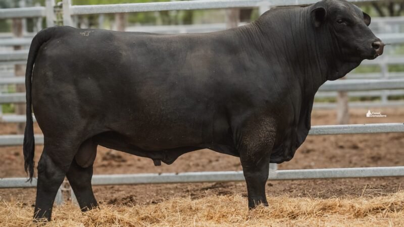 LOTE 2A RP 2183 CABAÑA LA GELID