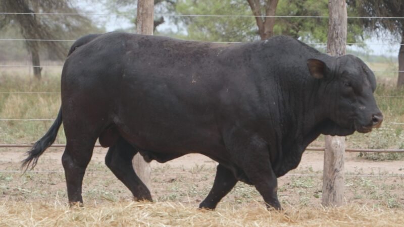 LOTE 9B RP 2165 CABAÑA LA GELID