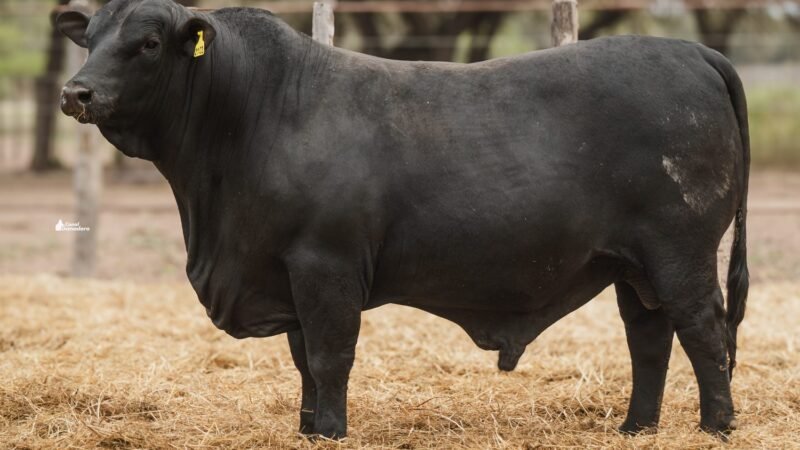 LOTE B RP 2103 CABAÑA LA GELID